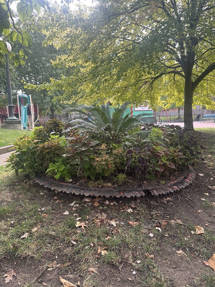 Shawn Grove Park Logo
