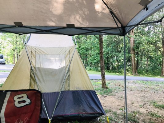 Cedars of Lebanon State Park by null