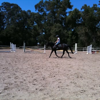 A Garcia Equestrian Training - Amanda and Stetson my Quarter Horse. - Horseback Riding Near Me - San Luis Obispo, California A Garcia Equestrian Training - Amanda and Stetson my Quarter Horse. - Horseback Riding Near Me - San Luis Obispo, California