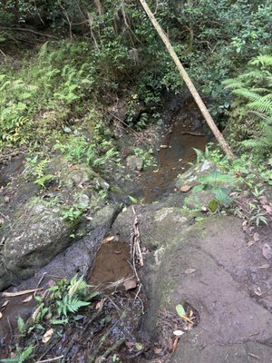 Hauʻula Loop Trail by null