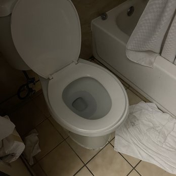 Super 8 by Wyndham Albany - Toilet seat was broken. Had to be very careful when using it otherwise it could slide right off lol! - Hotels Near Me - Albany, Oregon Super 8 by Wyndham Albany - Toilet seat was broken. Had to be very careful when using it otherwise it could slide right off lol! - Hotels Near Me - Albany, Oregon