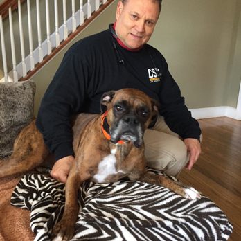 Empire State K9 Services - Large breed trainee. - Pet Training Near Me - Newtown, Connecticut Empire State K9 Services - Large breed trainee. - Pet Training Near Me - Newtown, Connecticut