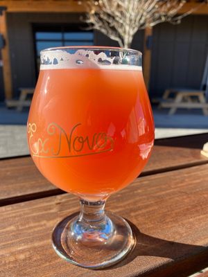 Ex Novo Brewing Company by null