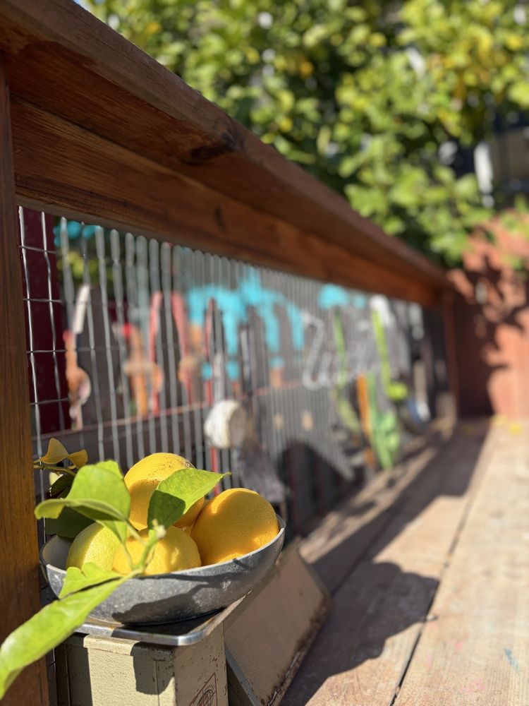 Nature's Lab School - childcare center in Carmichael, CA