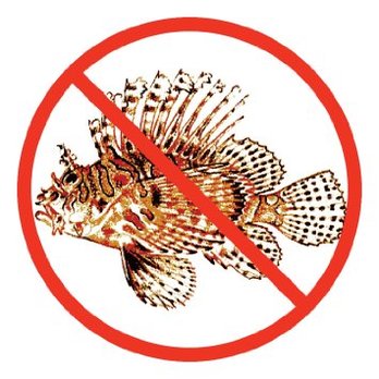 Atlantic Edge Scuba - Bahamas Lionfish Eradication Trip February 2019! Join us! - Scuba Diving Near Me - Gaithersburg, Maryland
