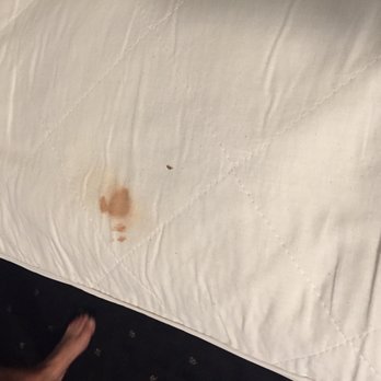 Howard Johnson by Wyndham Gananoque - A nice blood stain on the mattress pad - Hotels Near Me - Gananoque, Ontario
