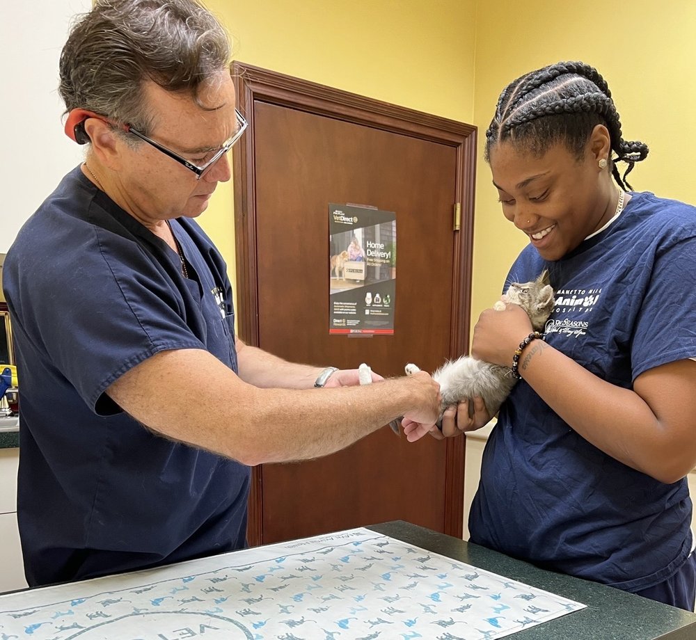 HILL ANIMAL HOSPITAL Updated September 2024 14 Photos & 36