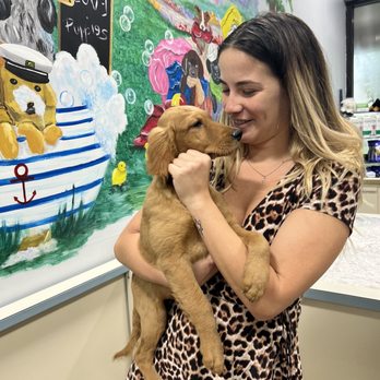 Forever Love Puppies - Pet Stores Near Me - Miami, Florida Forever Love Puppies - Pet Stores Near Me - Miami, Florida