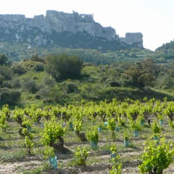 Mas Sainte-Berthe