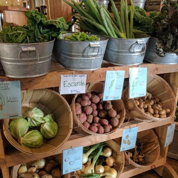 Tangerini's Spring Street Farm - Organic vegetables! - Farmers Market Near Me - Millis, Massachusetts Tangerini's Spring Street Farm - Organic vegetables! - Farmers Market Near Me - Millis, Massachusetts
