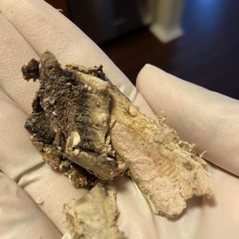 Accel Appliance Service - The substance that was removed from the dishwasher door. - Appliances & Repair Near Me