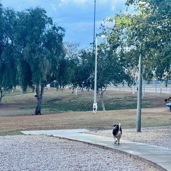 Quail Run Park - Dog Parks Near Me - Mesa, Arizona Quail Run Park - Dog Parks Near Me - Mesa, Arizona