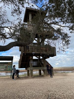 Brazos Bend State Park by null