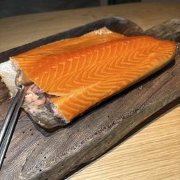 Salmon
