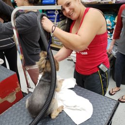 All Dogs Grooming volunteering at my Doggy Wash Fundraiser! They were so amazing, even with another location's equipment. All Dogs Grooming volunteering at my Doggy Wash Fundraiser! They were so amazing, even with another location's equipment.