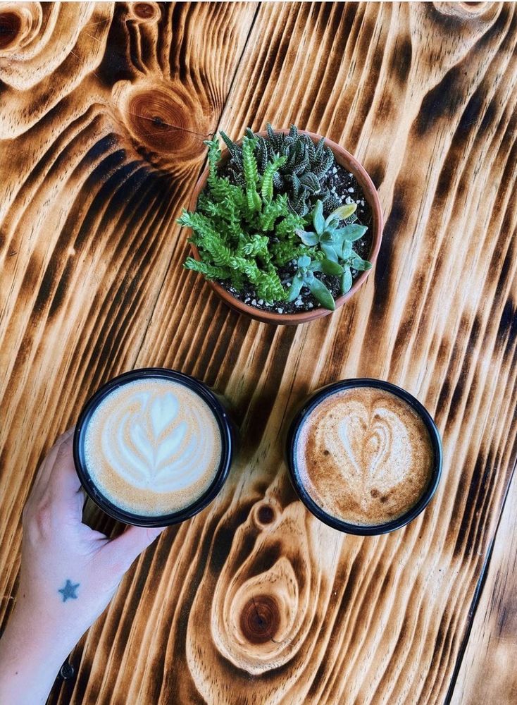 Segundo Coffee Lab Logo