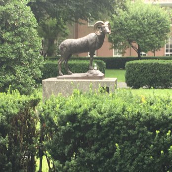 Fordham University - Mascot~Ram - Colleges & Universities Near Me - Bronx, New York