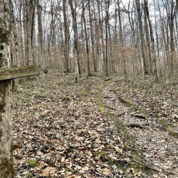 Walls of Jericho - Hiking Near Me - Estillfork, Alabama Walls of Jericho - Hiking Near Me - Estillfork, Alabama