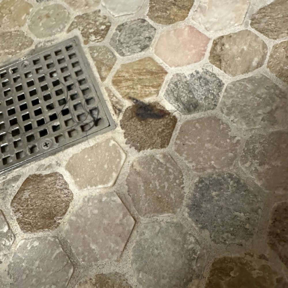 Socal Cleaner - Hair and fuzz in shower - Home Cleaning Near Me Socal Cleaner - Hair and fuzz in shower - Home Cleaning Near Me