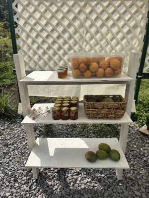 Jungle Mist Orchids  X Cafe