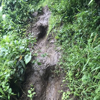 Ka'au Crater - Slippy muddy cliffy. 800+ foot cliff, Nope! - Hiking Near Me - Honolulu, Hawaii