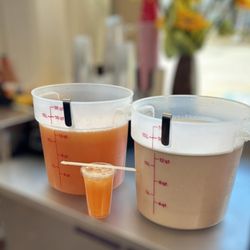 Aguas fresca naturales