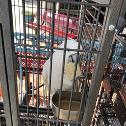 Splash Car Wash & Lube - You will be greeted by the birds