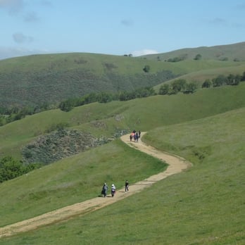 Sunol Regional Wilderness Area - The long, hard climb up to the Cerro Este Overlook. Much hotter in the summer. - Parks Near Me - Sunol, California Sunol Regional Wilderness Area - The long, hard climb up to the Cerro Este Overlook. Much hotter in the summer. - Parks Near Me - Sunol, California
