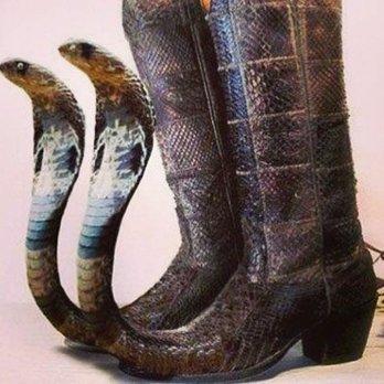El Comal Taqueria - Pointy boots - Mexican Near Me - Louisville, Kentucky El Comal Taqueria - Pointy boots - Mexican Near Me - Louisville, Kentucky