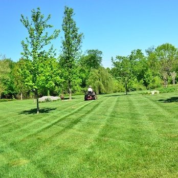 BAMS Lawn Service - a lawn mower cutting grass - Lawn Services Near Me BAMS Lawn Service - a lawn mower cutting grass - Lawn Services Near Me