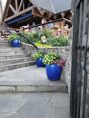 Photo of Chambers Landing Bar & Grill - Homewood, CA, US. blue pots of flowers