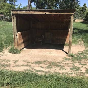 Dakota Zoo - Zoos Near Me - Bismarck, North Dakota