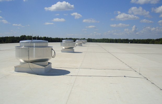 Slide of What Cha Gonna Do? Construction