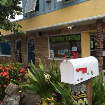 The Tiny Turtle - Caribbean Near Me - Cocoa Beach, Florida