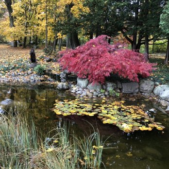 Chappell Tree And Landscape - a small pond in a park - Tree Services Near Me