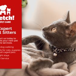 Fetch! Pet Care of Contra Costa - expert cat care