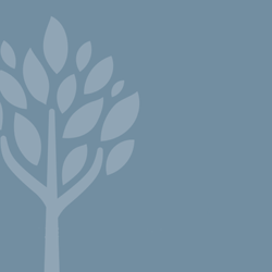 Westchester Family Dentistry - General Dentistry and Prosthodontics Services