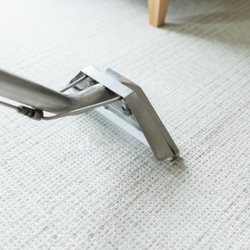 EnerGreen Carpet Cleaning - Our carpet wand which sprays steam and instantly sucks the dirt out after