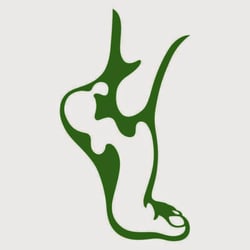 Advanced Injury Care Clinic - Advanced Foot & Ankle logo