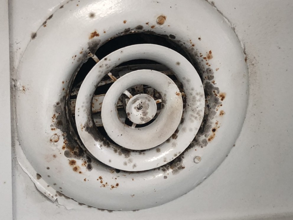 ASD Environmental - mold inspector in Wilmington, NC