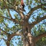 Photo of The Tree People