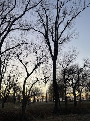 English Landing Park by null