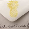 Pineapple House Collection gift card