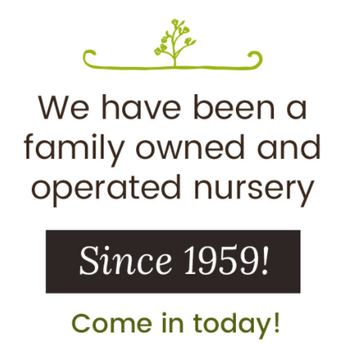 Redwood Nursery - Nurseries & Gardening Near Me - Santa Cruz, California Redwood Nursery - Nurseries & Gardening Near Me - Santa Cruz, California