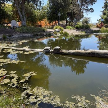 Waterwise Botanicals - Nurseries & Gardening Near Me - Bonsall, California