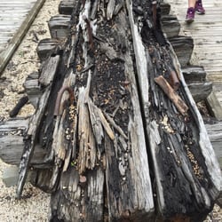 Lottie Cooper Shipwreck