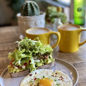 The Lights Cafe - Best avocado in town! avocado toast with greens, add onion. Perfection! - Coffee & Tea Near Me - Charlotte, North Carolina The Lights Cafe - Best avocado in town! avocado toast with greens, add onion. Perfection! - Coffee & Tea Near Me - Charlotte, North Carolina