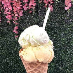 Lemon pie and maracujá (passion fruit) ice cream. Delicious!