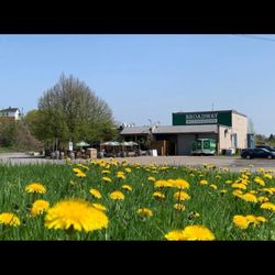 Broadway Microbrasserie - Terrasse sous les arbres. Vaste stationnement avant et arrière