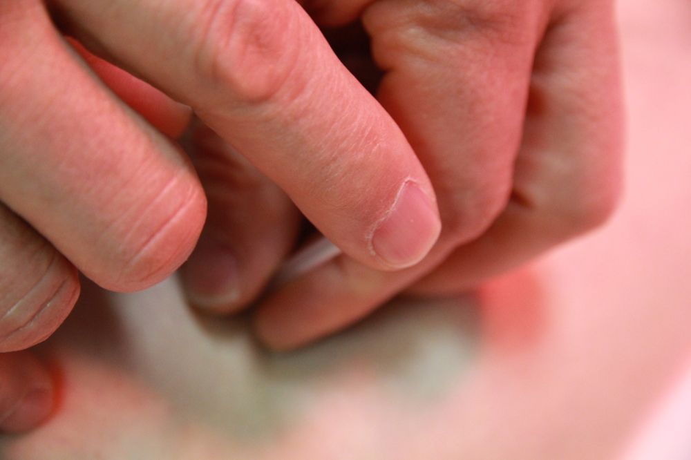 SUNG LIM ACUPUNCTURE Updated August 2024 251 Rock Rd, Glen Rock